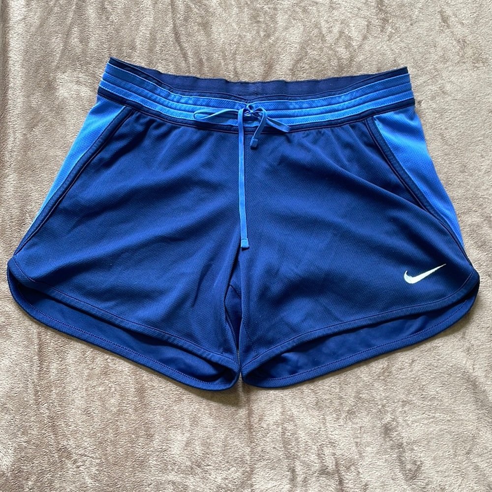 Nike Shorts (Blue, Small)